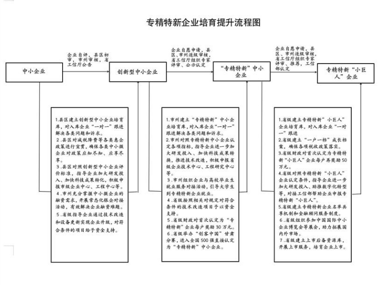 c65eb0213f1a1796e79c2ea3e12a266d.jpg 專精特新企業(yè)培育提升流程圖 (2).jpg